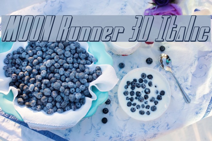 MOON Runner 3D Italic Font examples