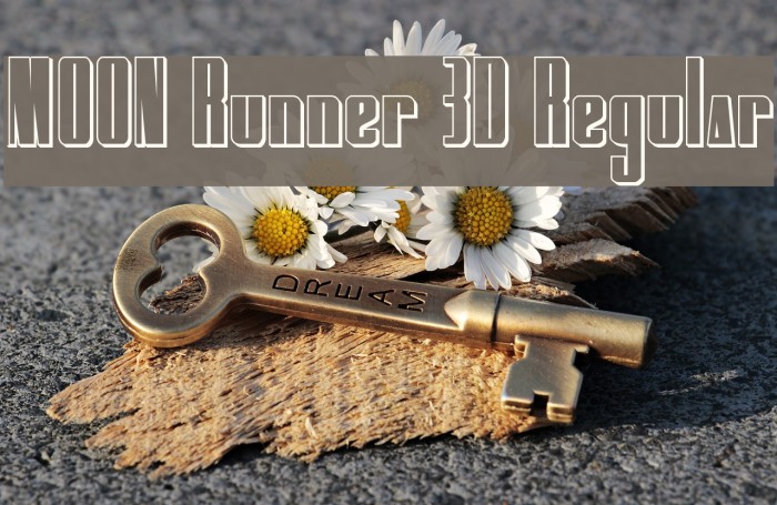 MOON Runner 3D Regular Font examples