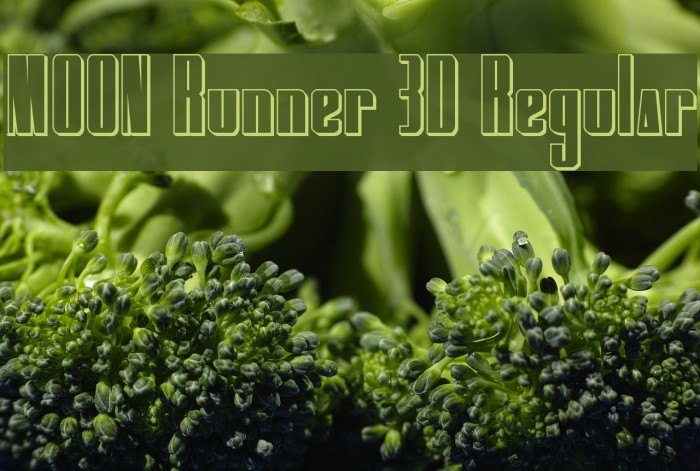 MOON Runner 3D Regular Font examples