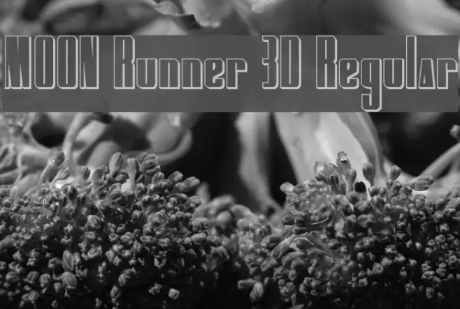 MOON Runner 3D Regular Fonte examples