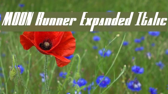 MOON Runner Expanded Italic Font examples