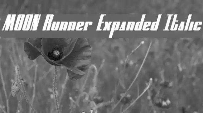 MOON Runner Expanded Italic Caratteri examples