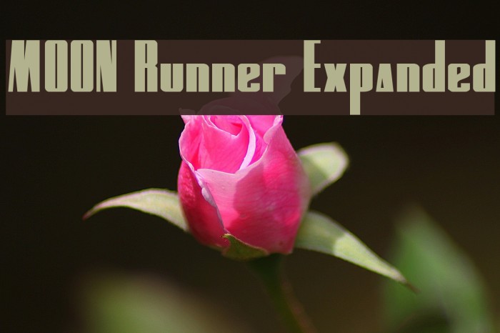 MOON Runner Expanded Font examples