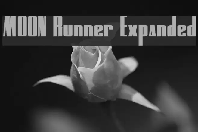 MOON Runner Expanded Caratteri examples