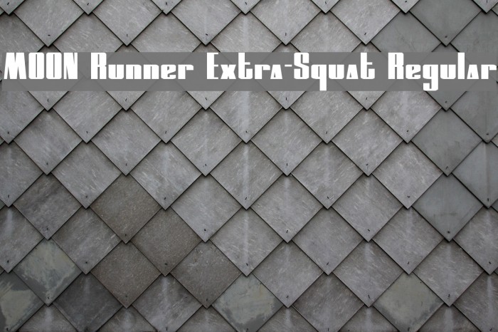 MOON Runner Extra-Squat Regular Caratteri examples