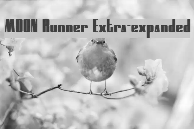 MOON Runner Extra-expanded Font examples