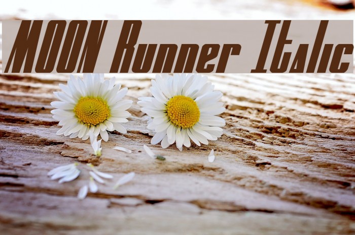 MOON Runner Italic Font examples