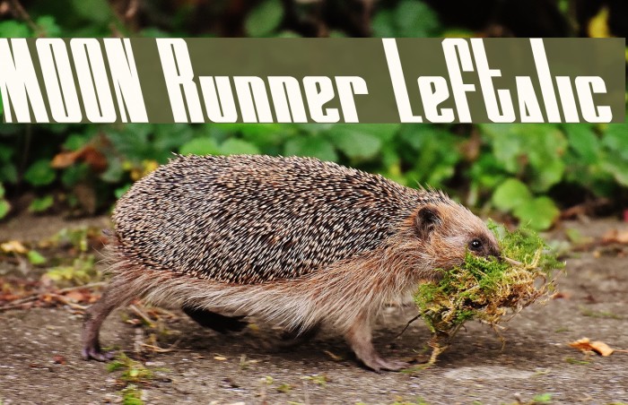MOON Runner Leftalic Font examples