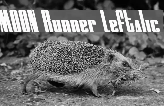 MOON Runner Leftalic Caratteri examples