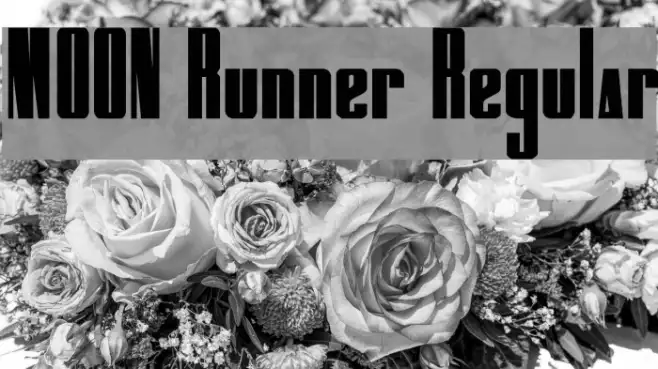 MOON Runner Regular Example 1