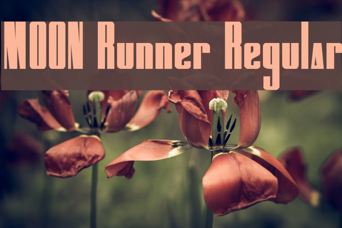 MOON Runner Regular Font examples