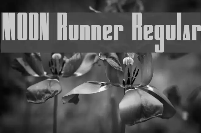 MOON Runner Regular Example 3