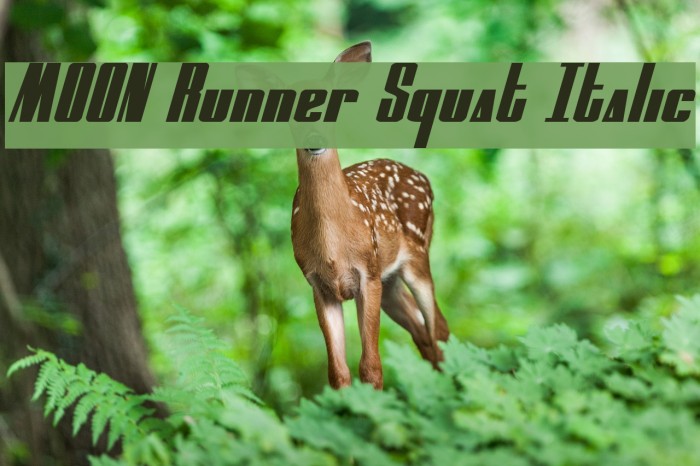 MOON Runner Squat Italic Caratteri examples