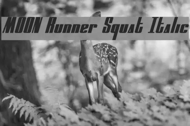 MOON Runner Squat Italic Font examples