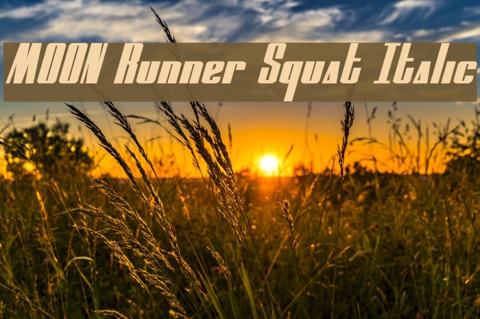 MOON Runner Squat Italic Caratteri examples