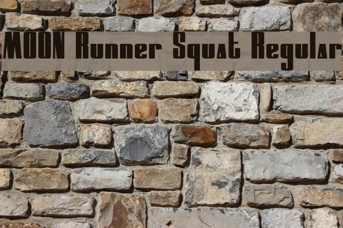 MOON Runner Squat Regular Font examples