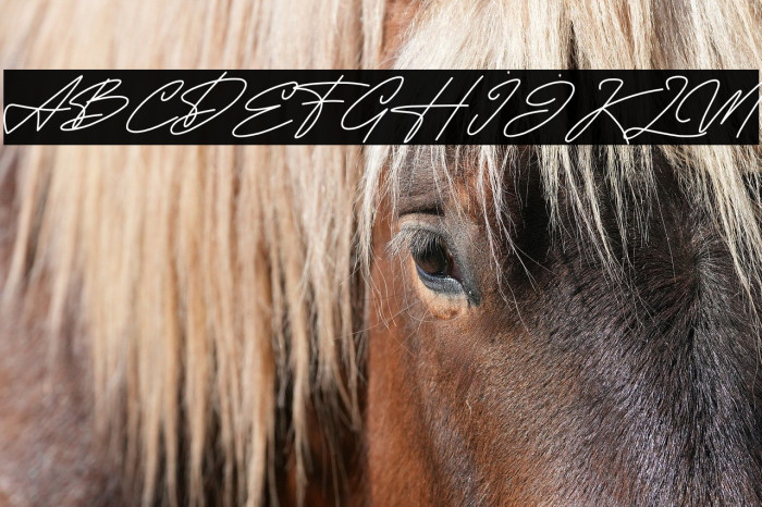 MOONALISSA DEMO Example 3