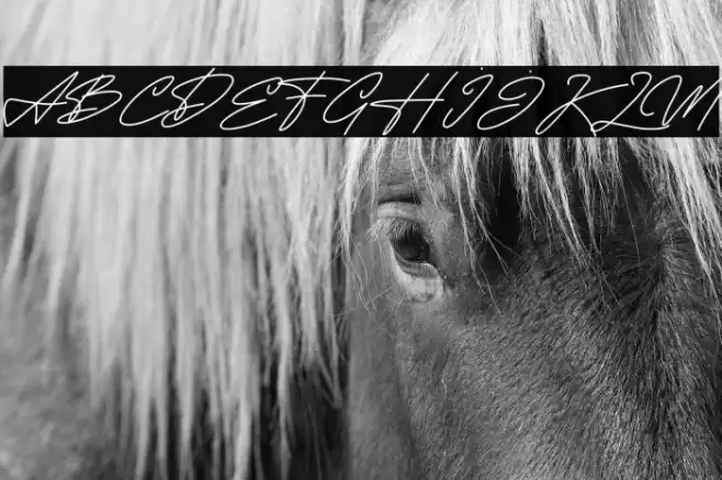 MOONALISSA DEMO Font examples