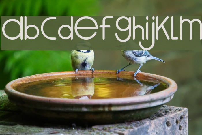 MOONKNIGHTRegular Font examples