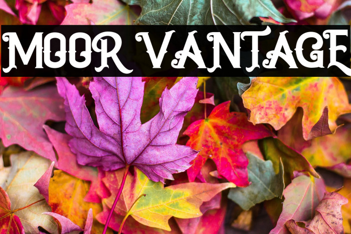 MOOR VANTAGE Example 2