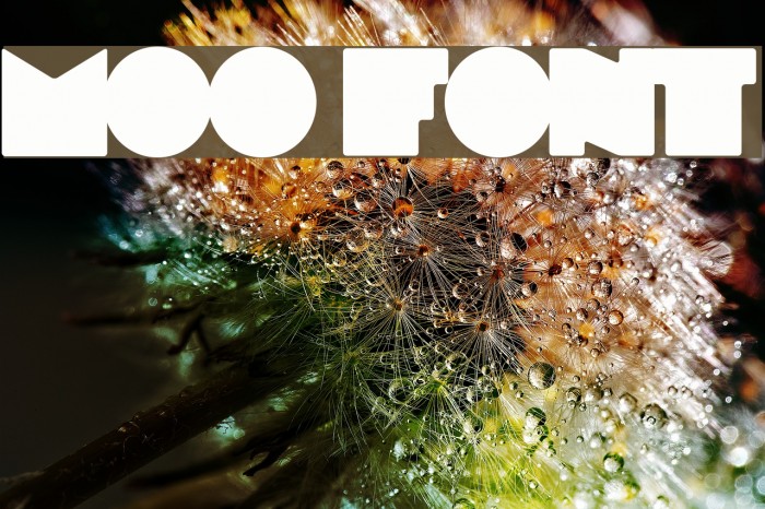 MOO Font examples