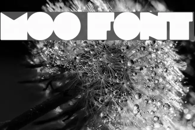 MOO Schriftart examples