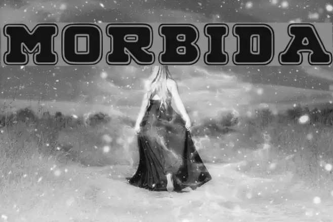 MORBIDA Font examples