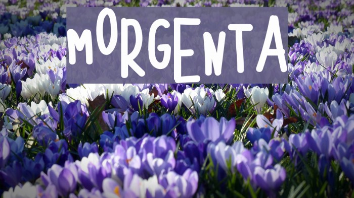 MORGENTA Font examples