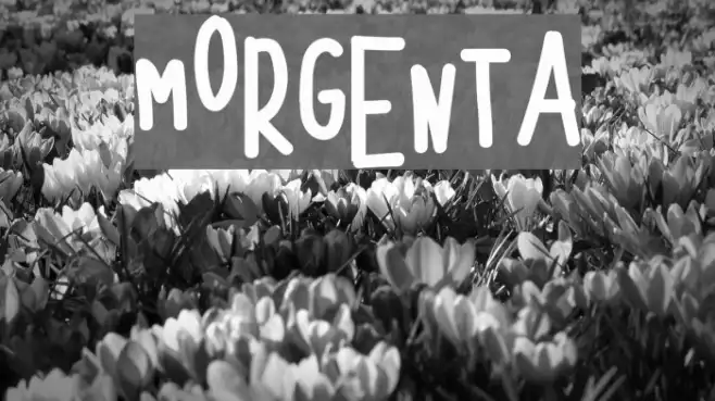 MORGENTA Example 1
