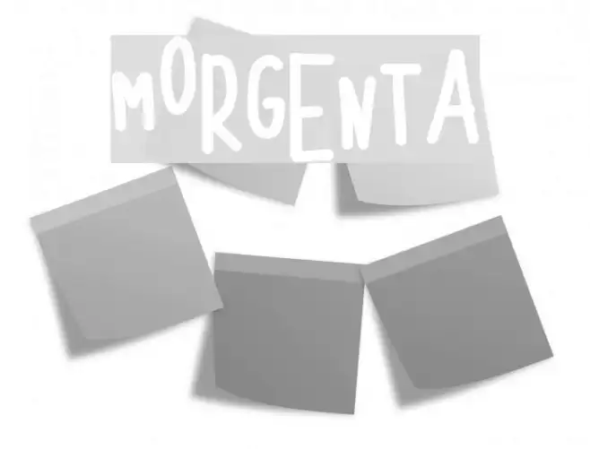 MORGENTA Example 2