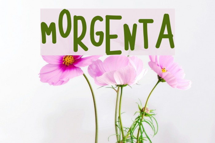 MORGENTA Font examples