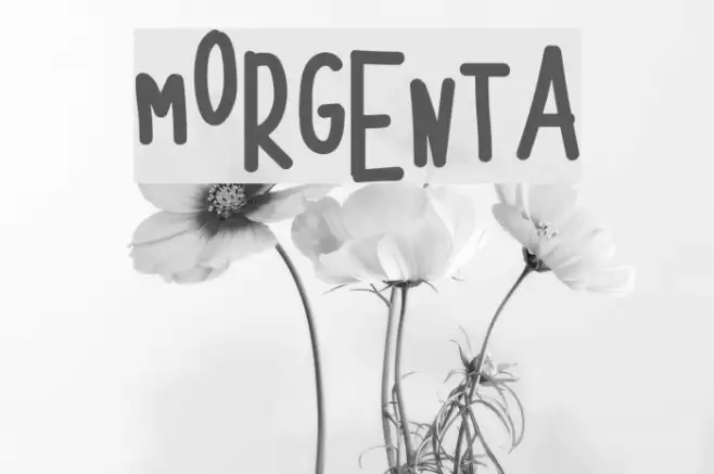 MORGENTA Example 3
