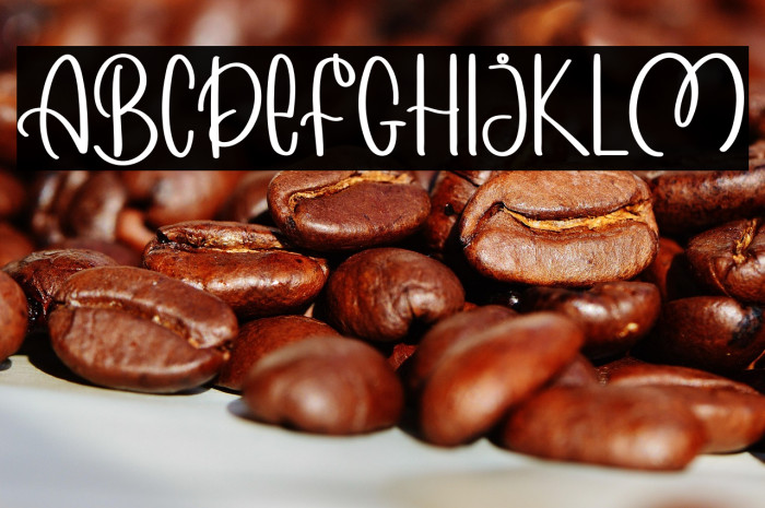 MORNING WINTER Example 2