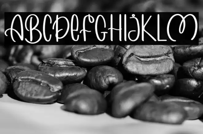 MORNING WINTER Font examples