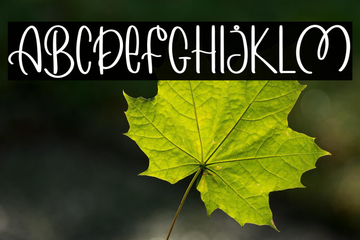 MORNING WINTER Example 3