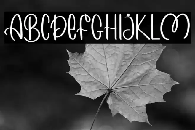 MORNING WINTER Font examples