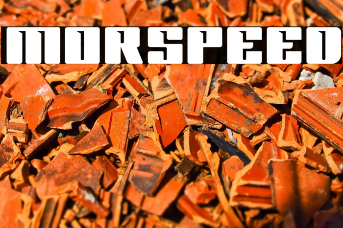 MORSPEED Example 1