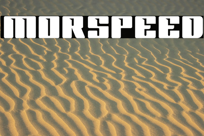 MORSPEED Example 2