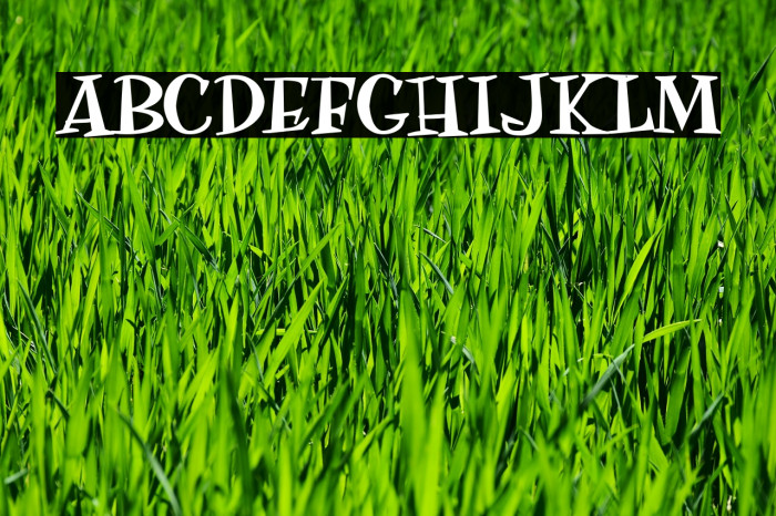 MOSKITOES Font examples
