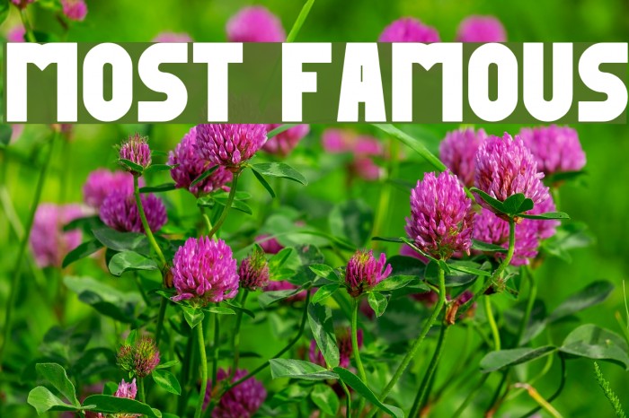 MOST FAMOUS Example 3