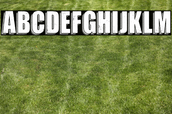 MOTION PERSONAL USE Bold Example 1