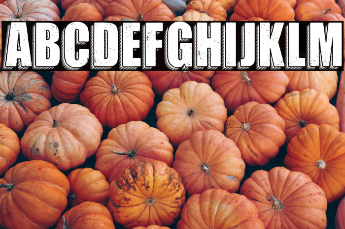 MOTION PERSONAL USE Bold Example 2