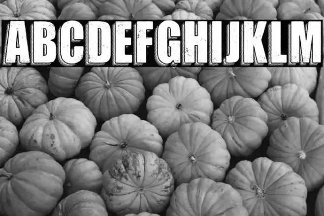 MOTION PERSONAL USE Bold Font examples