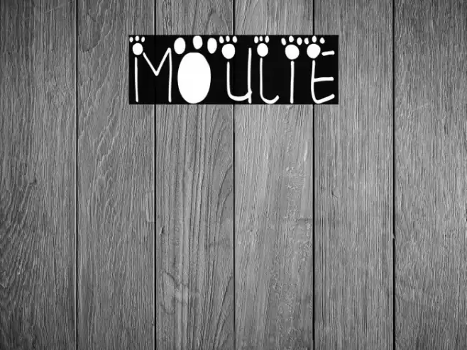 MOULIE Font examples