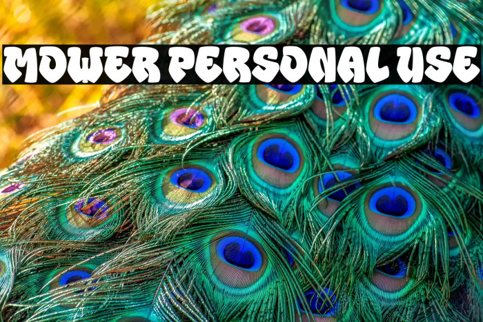 MOWER Personal Use Example 3