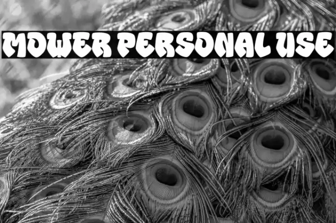 MOWER Personal Use Font examples