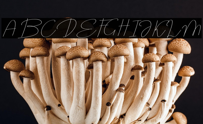 MOXA Bestine Script Example 2