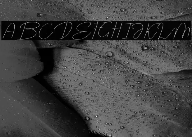 MOXA Bestine Script Fonte examples