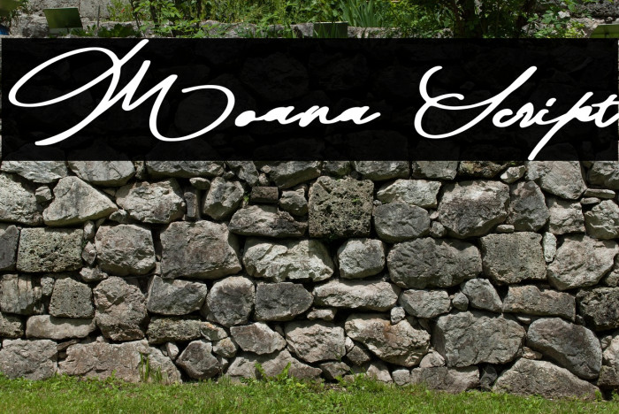 Moana Script Example 2