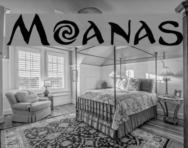 Moanas Example 1